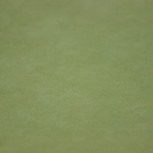 Alcantara Pannel 1045 Lime Tree